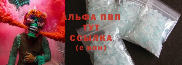 ПСИЛОЦИБИНОВЫЕ ГРИБЫ Осинники
