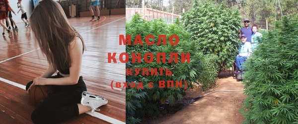 стафф Осташков