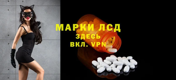 стафф Осташков