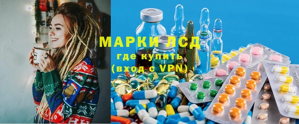 ПСИЛОЦИБИНОВЫЕ ГРИБЫ Осинники