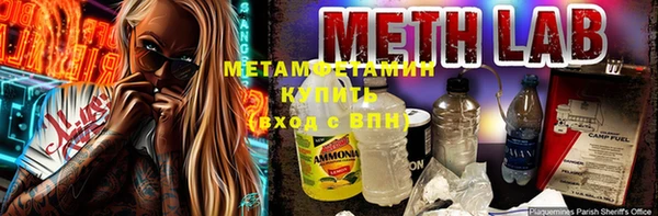 ПСИЛОЦИБИНОВЫЕ ГРИБЫ Осинники
