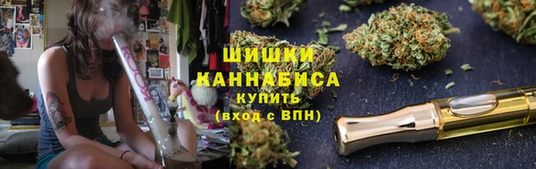 ПСИЛОЦИБИНОВЫЕ ГРИБЫ Осинники