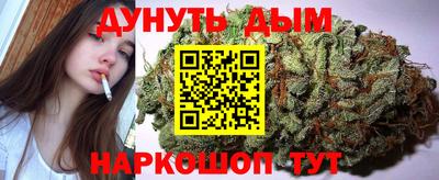 спиды Камышлов
