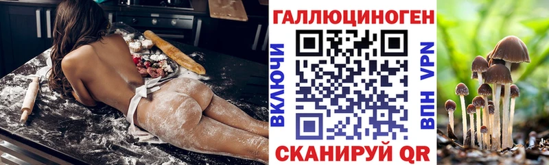 дарнет шоп  Владимир  Галлюциногенные грибы Magic Shrooms 