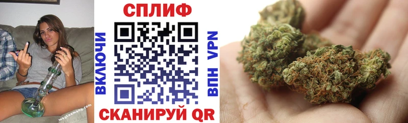 купить  цена  Владимир  Канабис ГИДРОПОН 